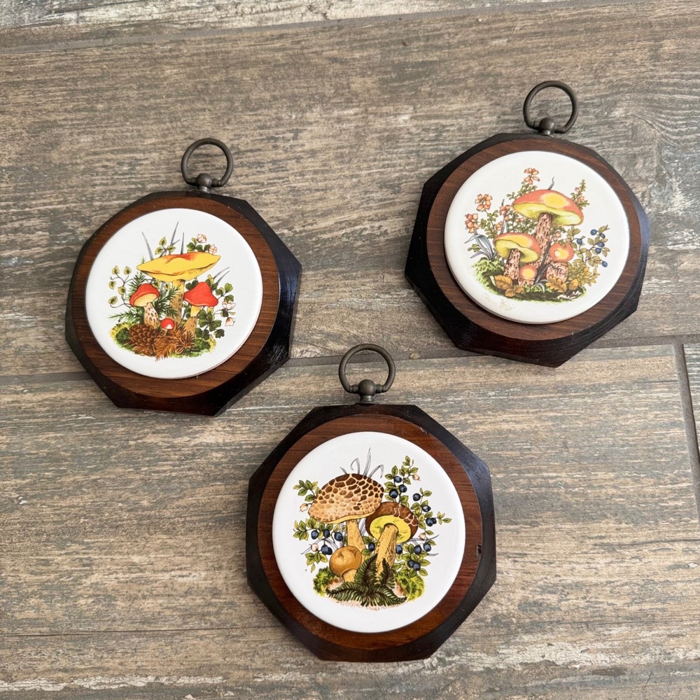 Vintage Mushroom Wall Decor Set of 3 Ceramic Tile Wood Frame Cottagecore Art